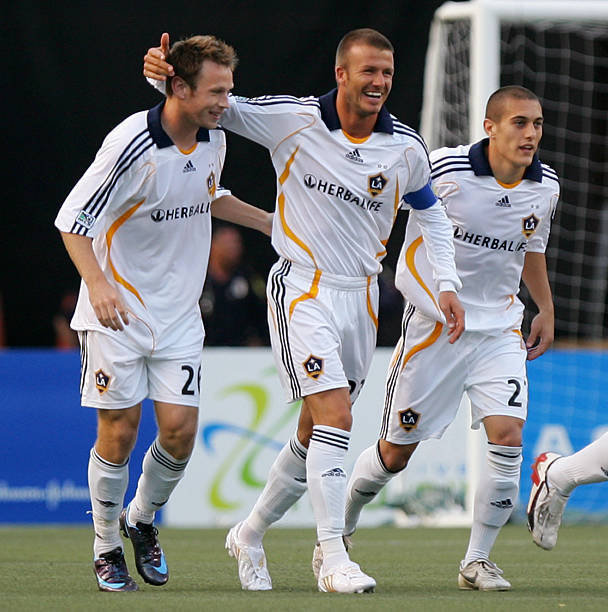 组成的荷兰 组成的荷兰