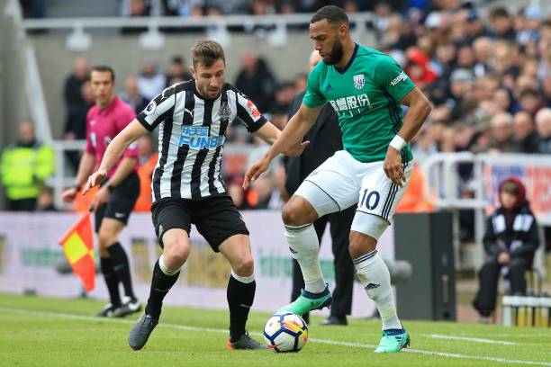 他们不仅为 他们不仅为